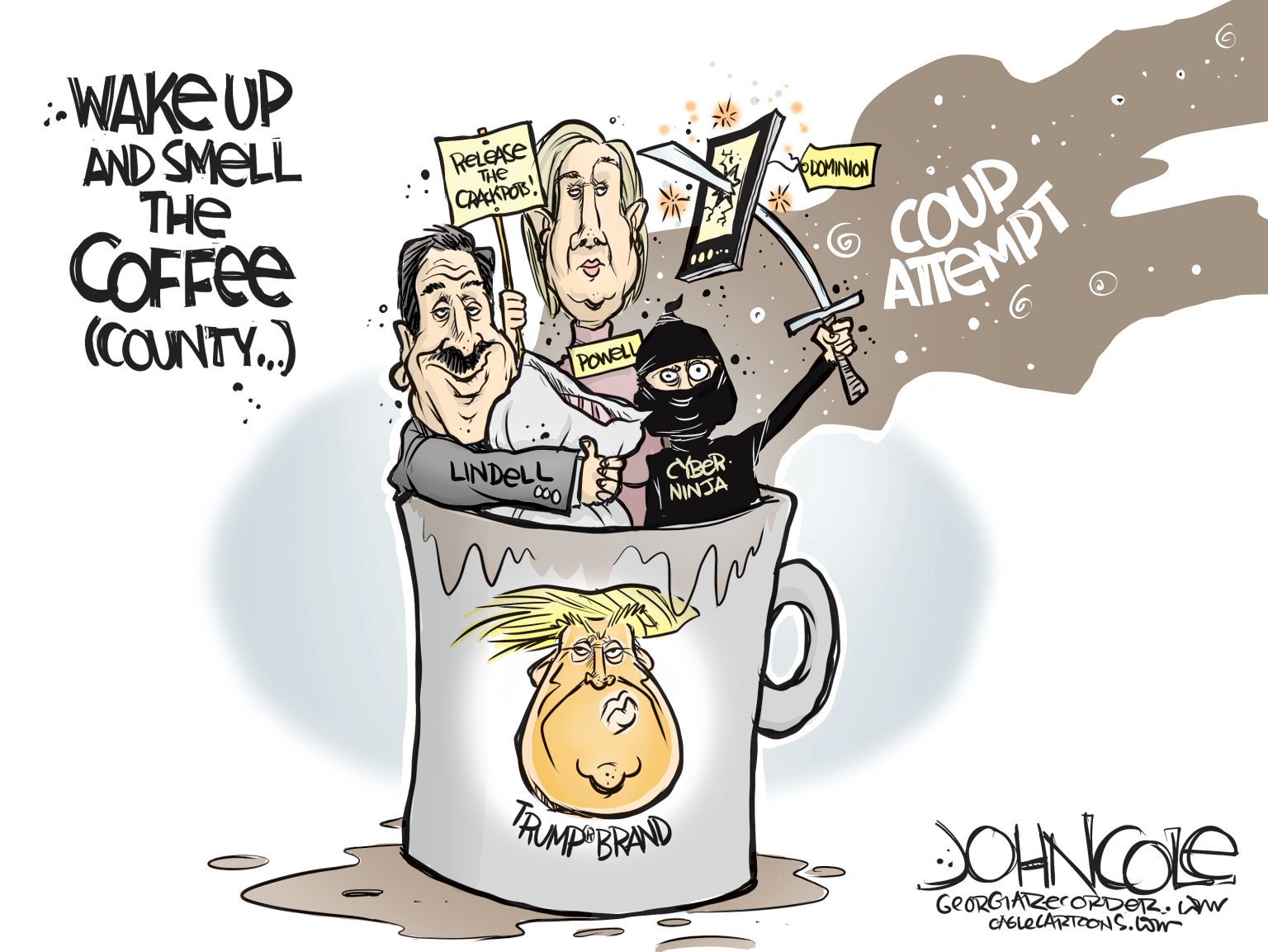 GEORGIA Coffee County election fraud - newsjustin.press - editorial cartoon